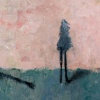 giraffe casts a long shadow