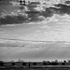 City of Home 37