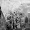 City of Home 40