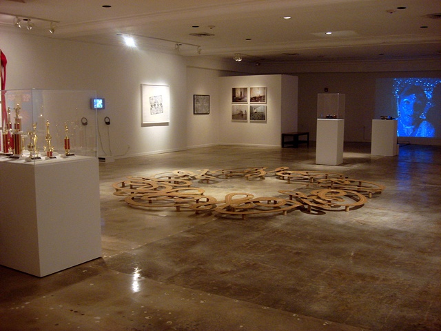 Installation view of Exploding the Lotus