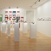 Installation image Shapeshifters and Aliens