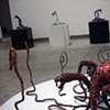 Installation at Gallery Espace New Delhi