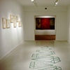Installation view of Exploding the Lotus