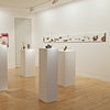 Installation image Shapeshifters and Aliens
