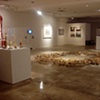 Installation view of Exploding the Lotus