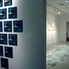 Installation view of Exploding the Lotus