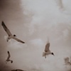 Flight 2