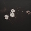 Simplistic