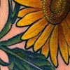 THIS IS ON THIS GALS RIBS.