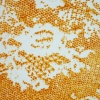 Spice Prints