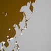 Curry Cartography