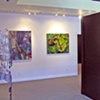 Aspen Gallery Show February 2009