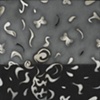 Elements Of Matter and Fragility