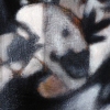 Elements Of a Child