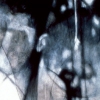 Disciple Versus Nature, A Creative Flux