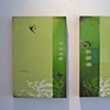 The Spark Gallery exhibit, February 26 thru March 21, 2009.