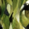 Elements Of Nature #1