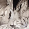 Preliminary Sketch