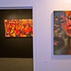 Aspen Gallery Show February 2009