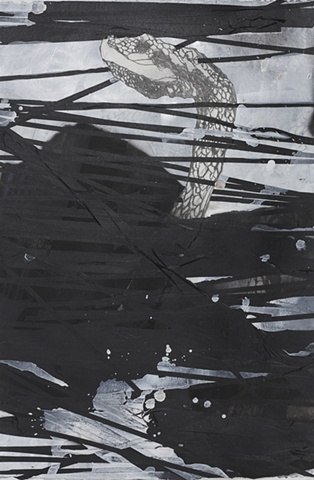 Drawing of a snake by artist Owen Rundquist