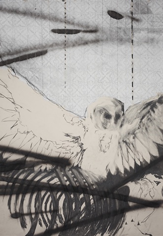 Drawing of an owl by artist Owen Rundquist
