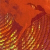 Peripheral Blast