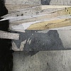 Totem
(detail)