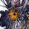 Nature Worship