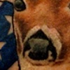 deer tattoos