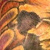 skull tattoo