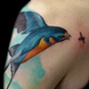 Lee's Bird sleeve