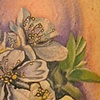cherry blossom tattoo