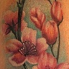 cherry blossom tattoo