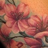 cherry blossom tattoo
