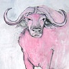 Pink Bull