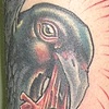 Raven muncher!(number 2)
