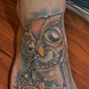 Owl foot