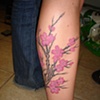 Cherry blossoms!