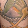 Woodro's owl(number 2)
