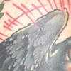 Raven muncher!