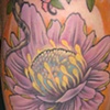 Completed Tattoos