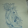 Whale sketch