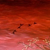 Red Sky