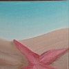 Sea Star