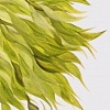 Feathered Flower