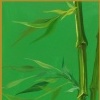 Tall Bamboo