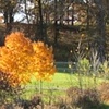 Color Changes