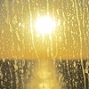 Glassed Sunset