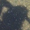 Shadow Curves