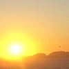 Ocean Sunset